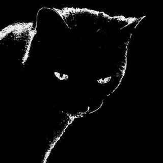 Muhammad Harits Fahrizal Glitched Cat